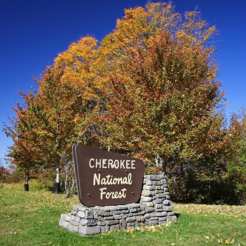 Cherokee National Forest Sign