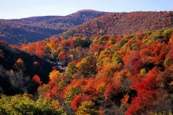 Blue Ridge Mountains in Fall