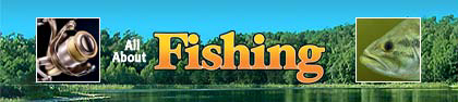 All About Fishing Logo